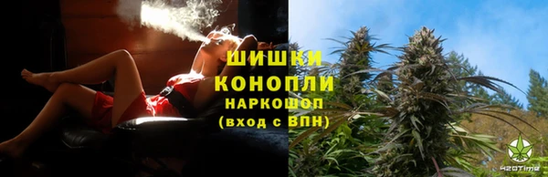СК Аркадак