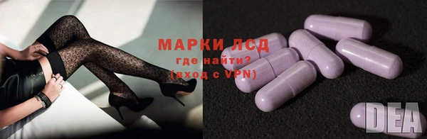СК Аркадак