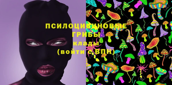 каннабис Арсеньев