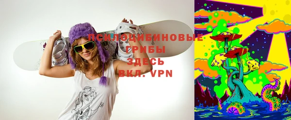 Альфа ПВП Армянск